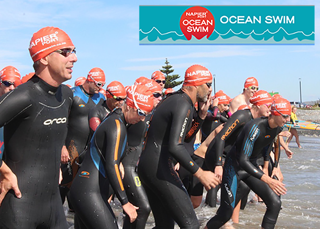 Napier Ocean Swim